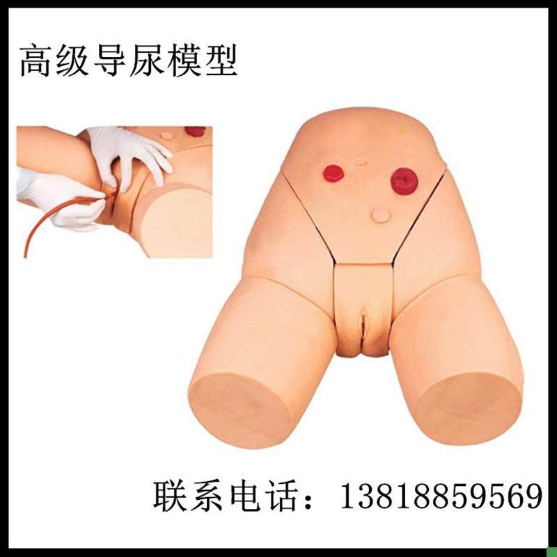 Interchangeable Male and Female Catheterization Model, Catheterization Training Model, Lower Body Model, X External Genital Organ Module