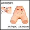 Interchangeable Male and Female Catheterization Model, Catheterization Training Model, Lower Body Model, X External Genital Organ Module