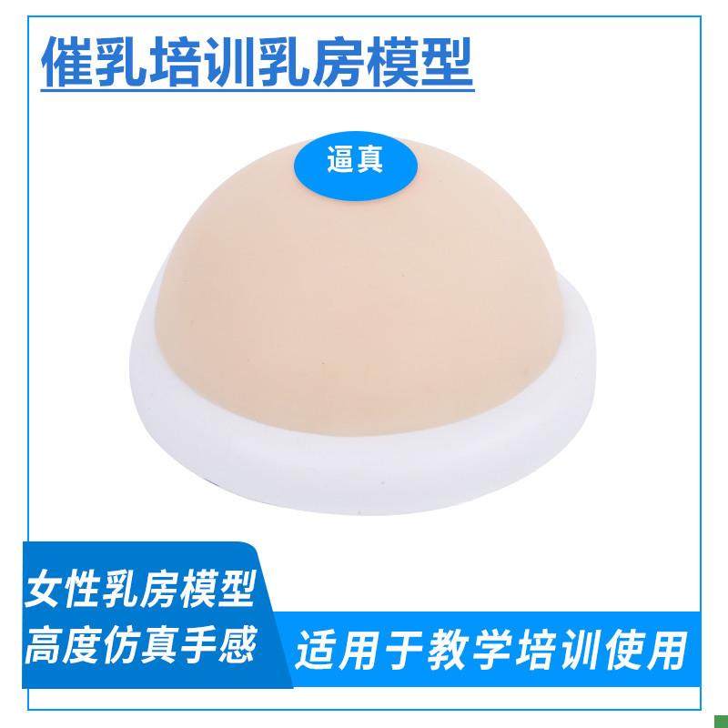 Simulated Breast Silicone Breast Model Teaching Aid Inverted Mold Large Breast Model Double-Sided Lactation Specialist Home Care Training