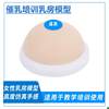 Simulated Breast Silicone Breast Model Teaching Aid Inverted Mold Large Breast Model Double-Sided Lactation Specialist Home Care Training