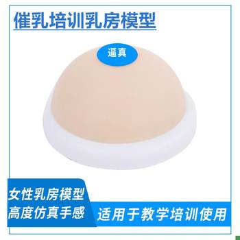 Simulated Breast Silicone Breast Model Teaching Aid Inverted Mold Large Breast Model Double-Sided Lactation Specialist Home Care Training