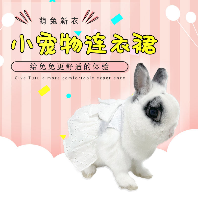 Pet bunny clothes pygmy rabbit out dress cute embroidered bow dress Dutch pig costume supplies