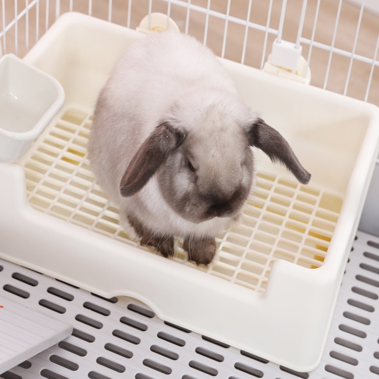 Sanheyu large and medium-sized rabbit toilet pet rabbit rabbit chinchilla guinea pig anti-overturn anti-leakage urine tray toilet