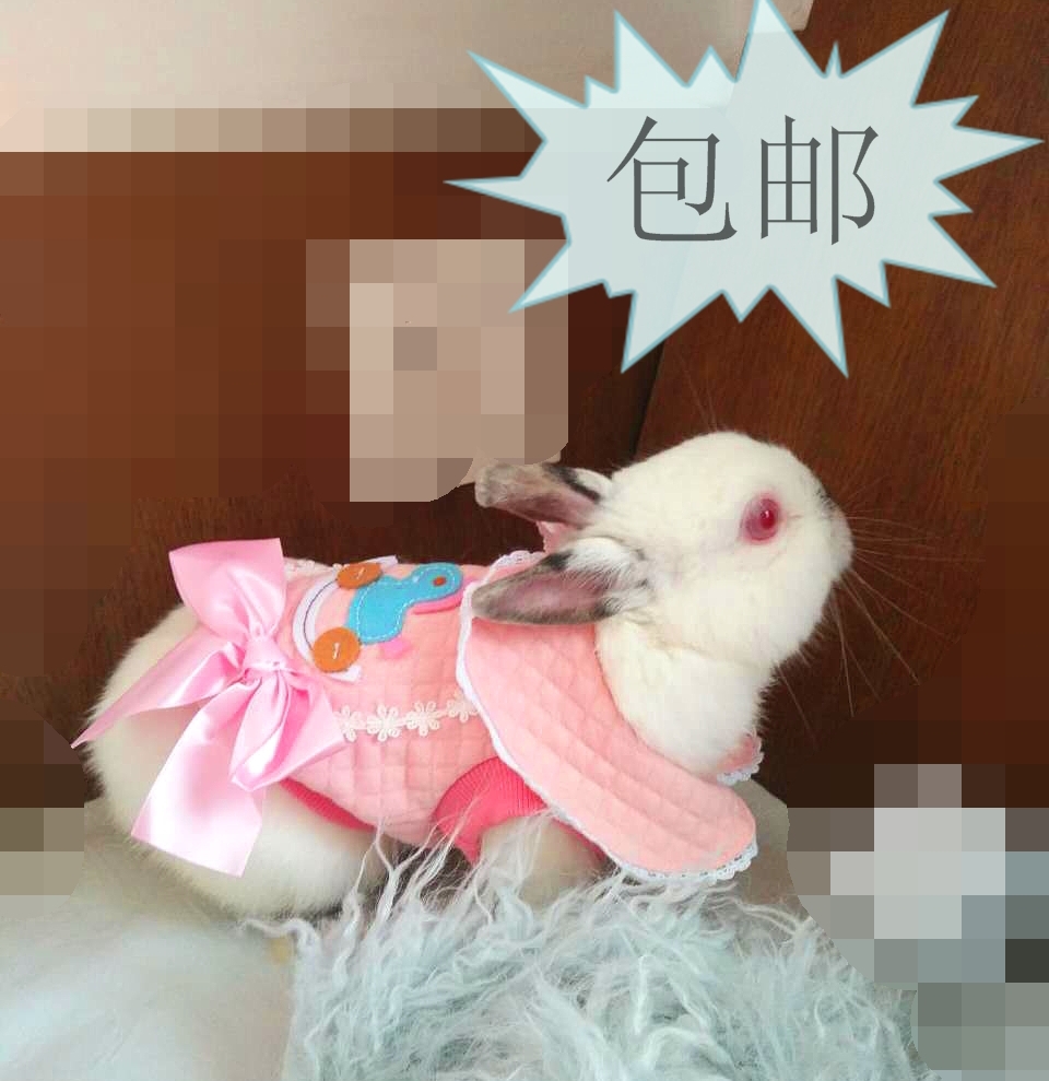 MKO Mico Rabbit Clothes Cotton Clothing Pet Cotton Clothes Puppets Teddy Winter Dress Bibear Jacket