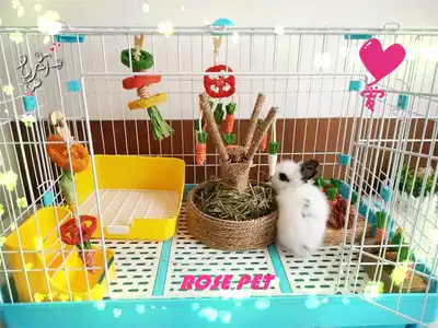 Loofah hanging string PET toy rabbit Dutch pig cat cat molar bite-resistant grass Large carrot tree