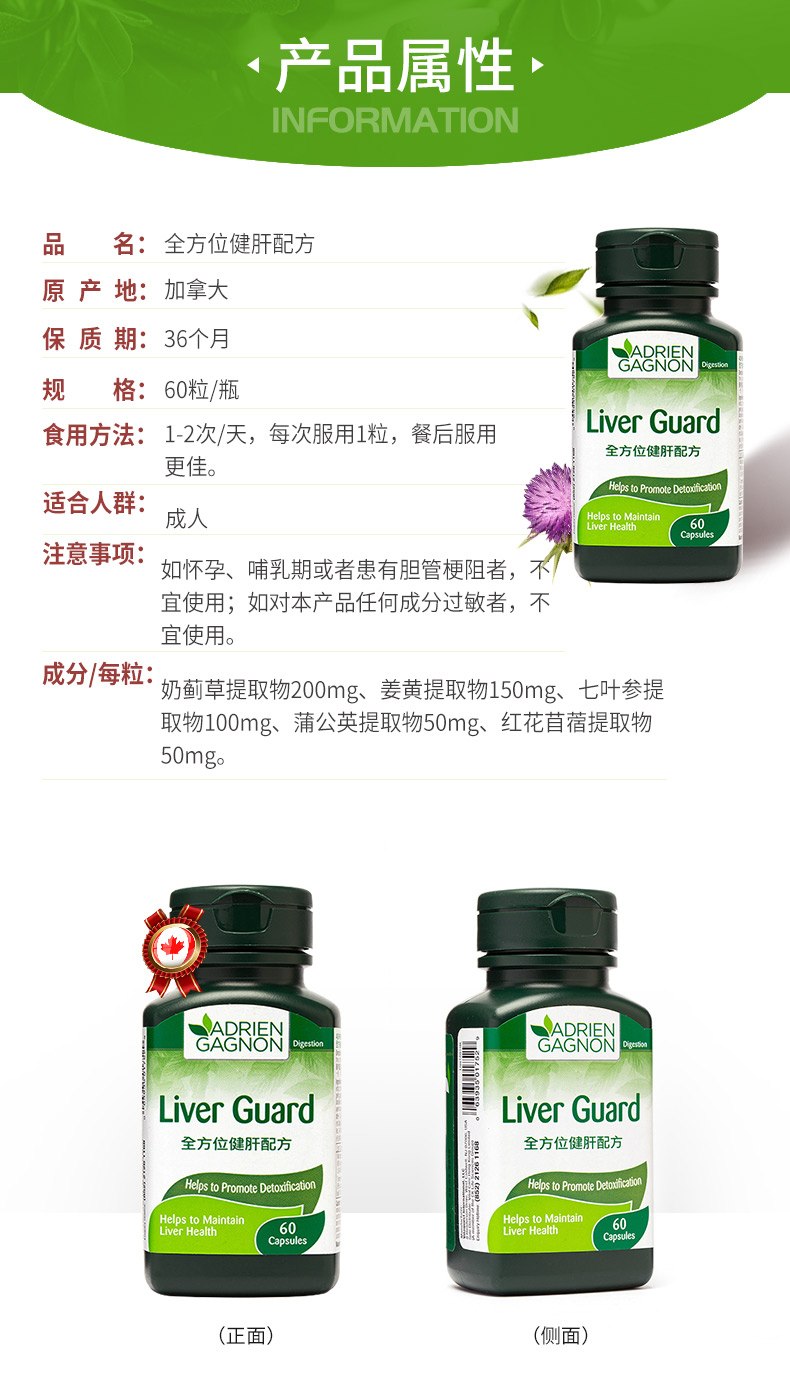 加拿大进口 枫之宝 奶蓟草护肝胶囊 60粒/瓶  熬夜应酬必备 图4