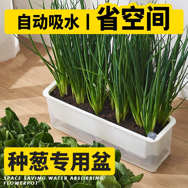 Indoor Self-Watering Small Flower Pot for Growing Green Onions, Long Pot for Growing Mint, Vegetable Pot for Balcony, Special Box for Growing Vegetables and Strawberries Indoor Self-Watering Small Flower Pot for Growing Green Onions, Long Pot for Growing Mint, Vegetable Pot for Balcony, Special Box for Growing Vegetables and Strawberries