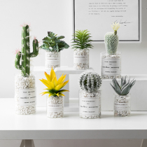 Nordic ins wind simulation plant potted indoor fake flower fleshy cactus ornaments small ornaments green plant bonsai