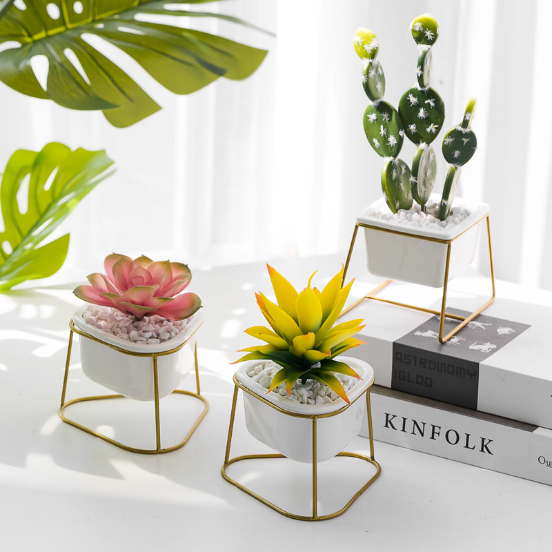 Nordic Living Room Emulation Plant Multi-Meat Cactus Small Potted Flowers Indoor Bonsai Decoration Green Plant Swaying Pieces