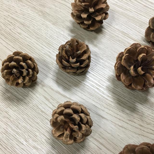 Original Color Pine Cones Christmas Decorations Christmas Tree Pendants Dried Flowers DIY Handmade Materials Natural Pine Cones