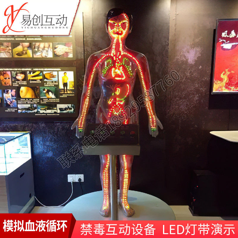 Microclassroom simulates blood circulation system drug cognitive learning system drug use organ evolution anti-drug exhibition hall