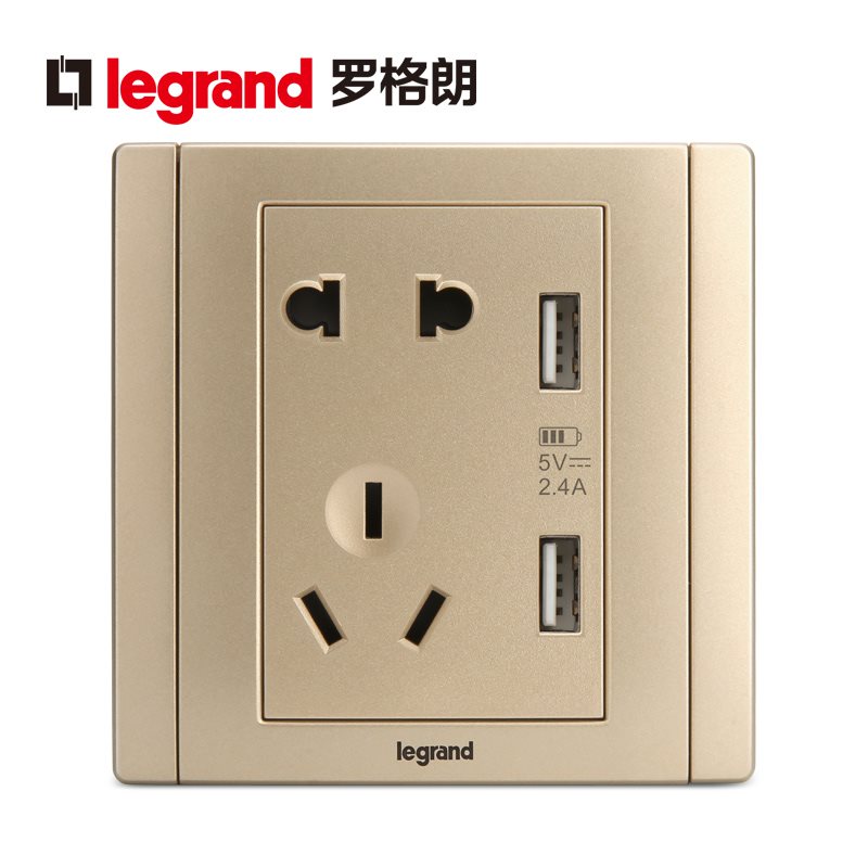 Roger Lang switch socket panel beauty culvert gold 5 5 holes with USB 23 plugged phone charge power 86 Type