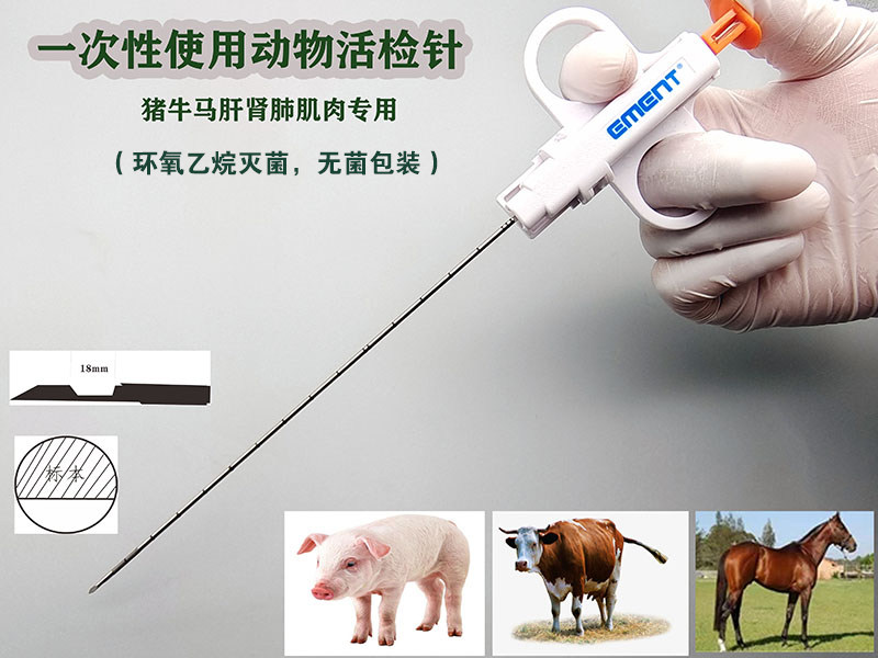 自动动物组织活检针猫狗兔猪穿刺教学研究实验肝脏肺器官简易采集