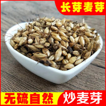 Fried malt Chinese herbal medicine Cooked malt 500g Fresh fried malt Hawthorn milk tea Barley tea Valley bud malt water