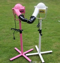 Chunzhou TVS2400 negative ion vertical high-power hair dryer wall-mounted pet beauty styling hair dryer