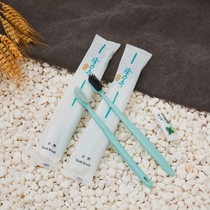 Hotel disposable Longrich soft-bristle toothbrush hotel room toothbrush and toothpaste two-in-one toiletry set