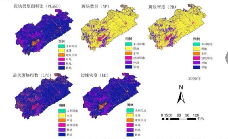东露科技