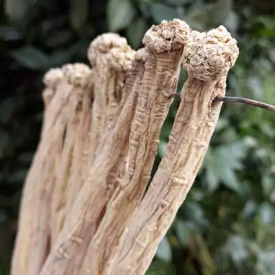 Gansu Minxian special party ginseng big bar sulfur-free party new 250g Chinese herbal medicine