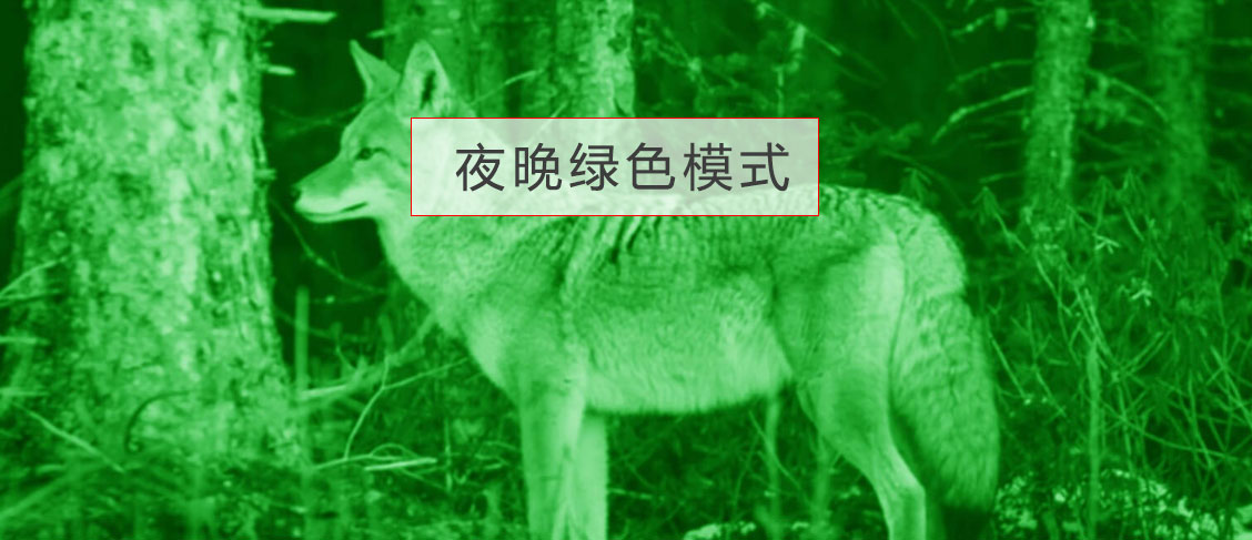 ATN双筒数码日夜两用***望远镜BinoX-HD 4-16x可拍照摄录WIFI