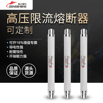 Dongshang high breaking capacity 630A XRNT-35KV 12KV 24KV fuse high voltage current limiting fuse