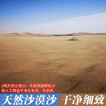 Natural Desert Playground Kindergarten Household Children Play Sand Take Sand Profile View Artificial Beach