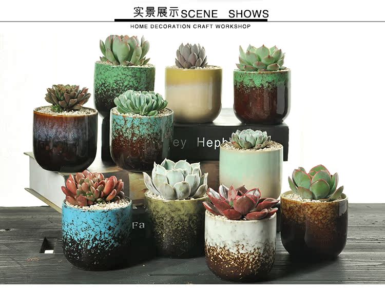 多肉花盆多肉植物花盆粗陶绿植物陶瓷简约个性创意小花盆素烧批发 狂欢大促销 花盆 植物 创意 简约 陶瓷途虎网