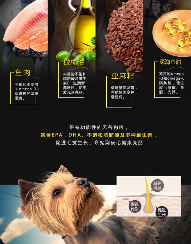 Thức ăn cho chó loại phổ quát Thức ăn cho chó Victor trả 美 để xé rách chuyên dụng 1,5kg thức ăn tự nhiên cho chó nhập khẩu - Chó Staples