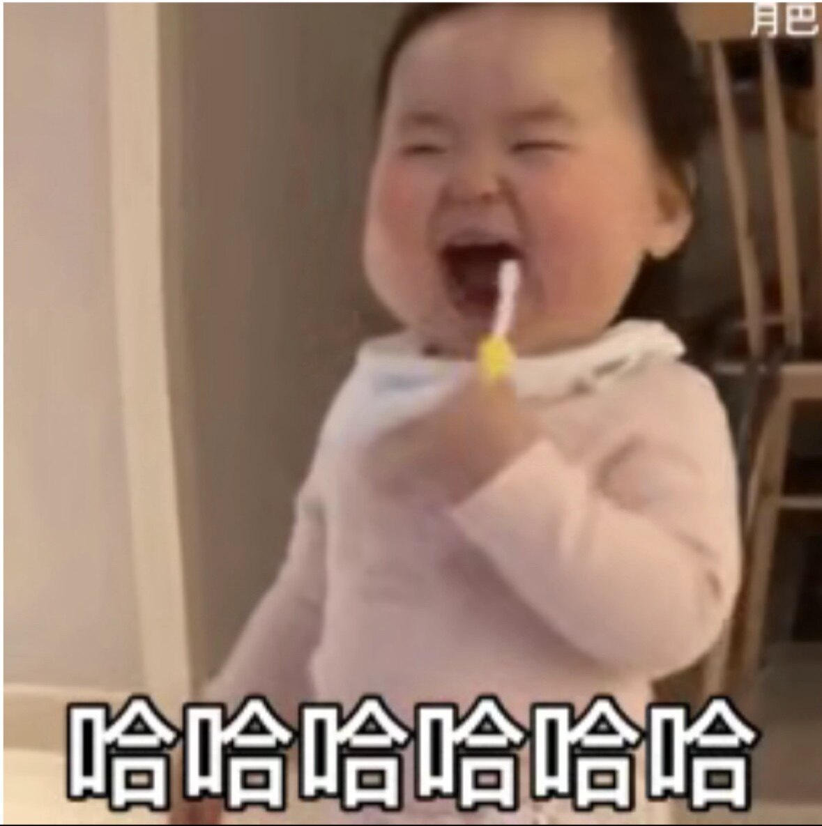 狗七月解忧铺的LOGO