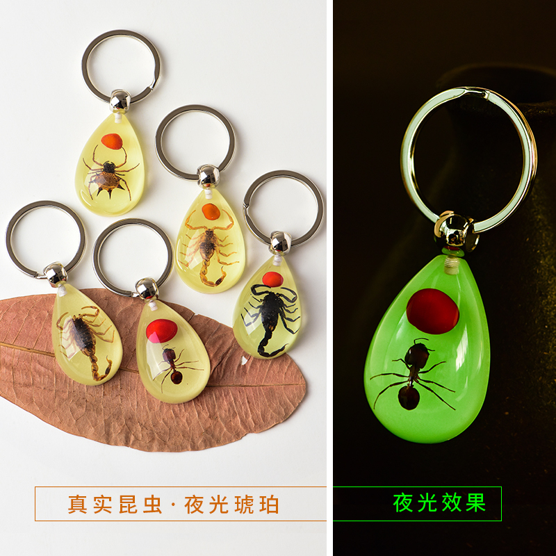 Amber Luminous Insect Keychain Real Animal Specimen Car Keychain Pendant Personalized Creative Gift Scorpion Spider