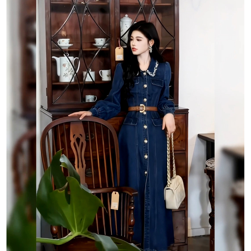 Korean-Style Elegant Mature Denim Long-Sleeve Dress, 2026 Autumn New Casual High-End A-Line Long Dress