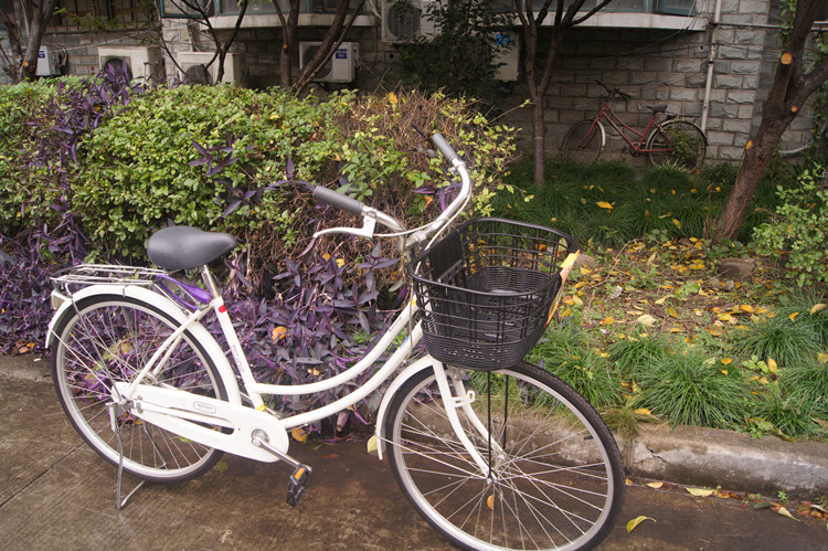 Panier pour vélo en plastique - Ref 2260778 Image 29