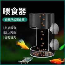 Small fish tank feeder transparent feeding ring fish food feeding ring feed feeding tube guppy goldfish anti-drift