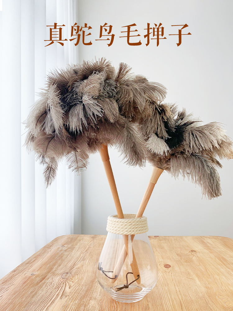 Chicken feather household does not lose hair dust dust sweep ash car cleaning artifact Electrostatic dust removal Ostrich hair Zenzi