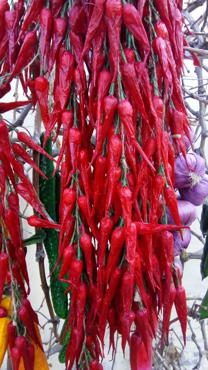 Poster mural géant - Ref 2454193 Image 17