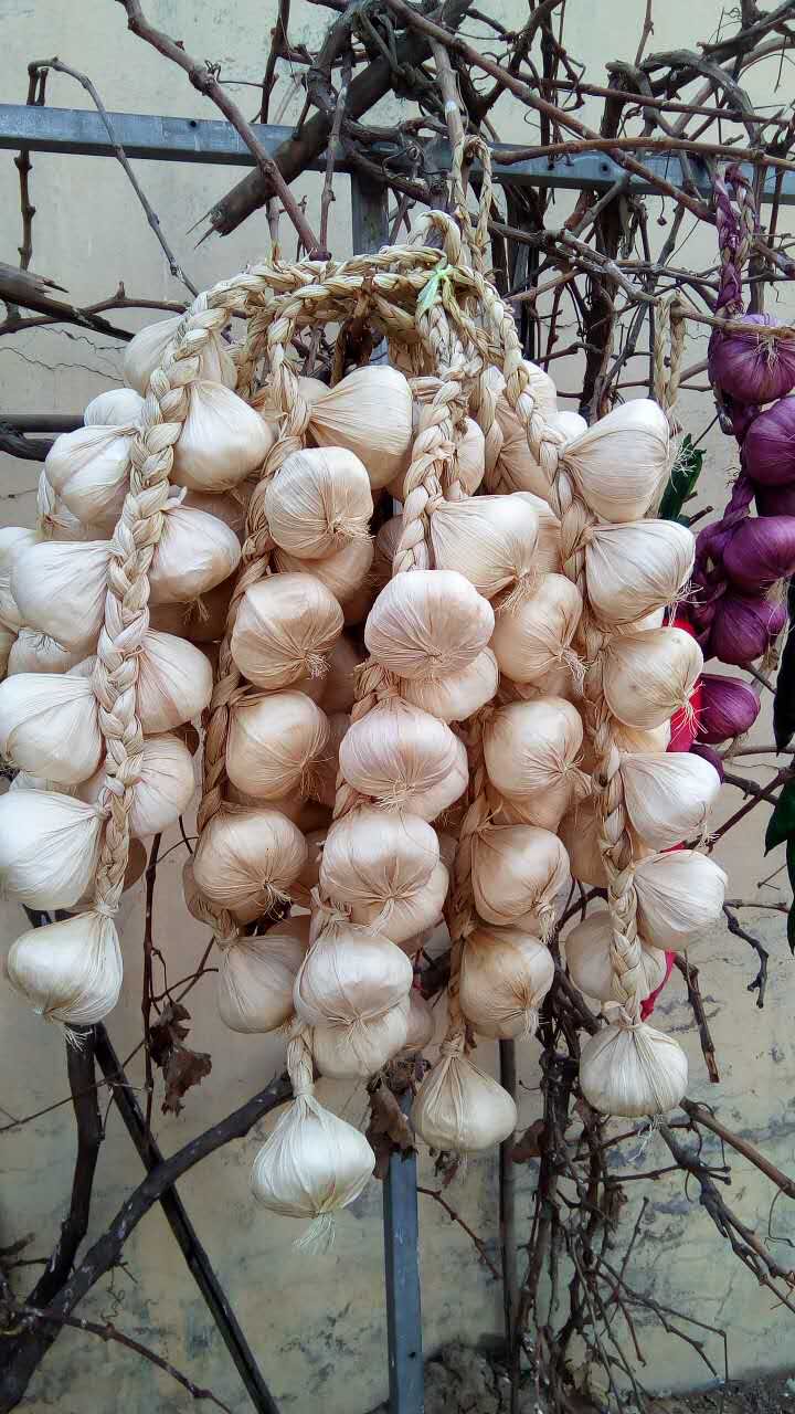 Poster mural géant - Ref 2454193 Image 12