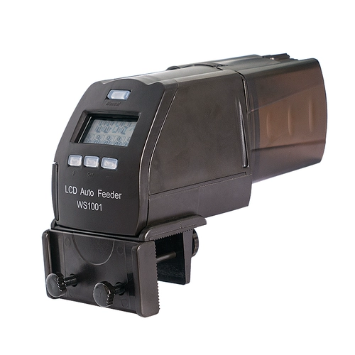 Аквариум федерального аквариума Baiyin Auto FedRior FedRior Aquarium хочет, чтобы рыба для рыбной рыбы кормила рыбу