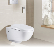 American standard wall hanging wall hanging wall hanging hanging toilet wall type small apartment toilet 2266