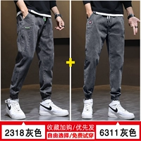 [2] 2318 Grey +6311 Grey