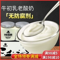 Old yogurt Xinjiang specialty Youle colostrum flavor yogurt pregnant women childrens breakfast milk box
