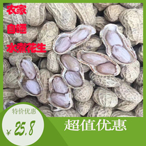 Longmen boiled peanuts white sun-dried salted boiled salted dried salted crisp 500g*1 bag of loose cooked snacks Farm specialties