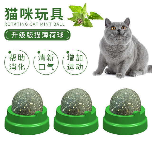 Hot Pin Natural Mint Leaves To Make Cat Snacks Kitty Mint Balls Independent Packaging Teasing Cat Ball Kitty Toys