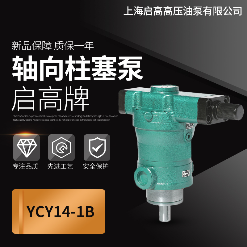 Shanghai Qigao 10 16 25 32 40 63 80 100 160 250YCY14-1B axial piston pump