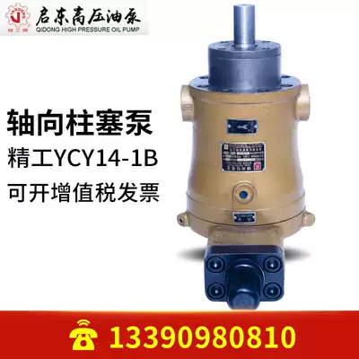 Qidong high pressure oil pump Seiko brand pressure 31 5mpa 25YCY14-1B axial piston pump High pressure oil pump