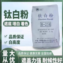 Rutile titanium dioxide white pigment anatase titanium dioxide coating ink paint plastic general white pigment