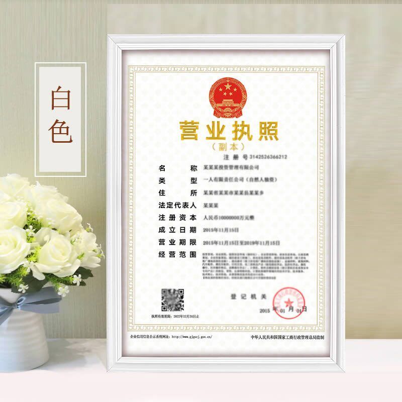 Plastic Sheet Frame Company Frame Decoration Shelf Self-employed License Box a4 License Frame Wall-mounted Wall License Box