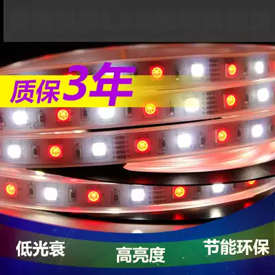 LED light strip colorful RGBW5050 low voltage 12v color soft light bar bright light strip with bare board waterproof color changing light strip