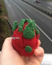 Dragon Fruit Fruit Series Pure Text Illustrations Honey Fruit Garden Stick and Needle Doll Knitting Instructions