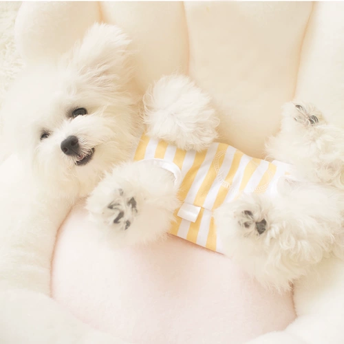 Демисезонный флисовый удерживающий тепло жилет, бандаж пупочный, осенний сезон, популярно в интернете