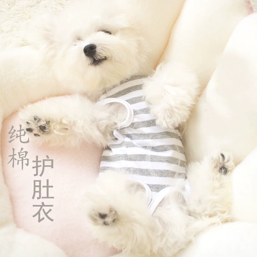 Демисезонный флисовый удерживающий тепло жилет, бандаж пупочный, осенний сезон, популярно в интернете