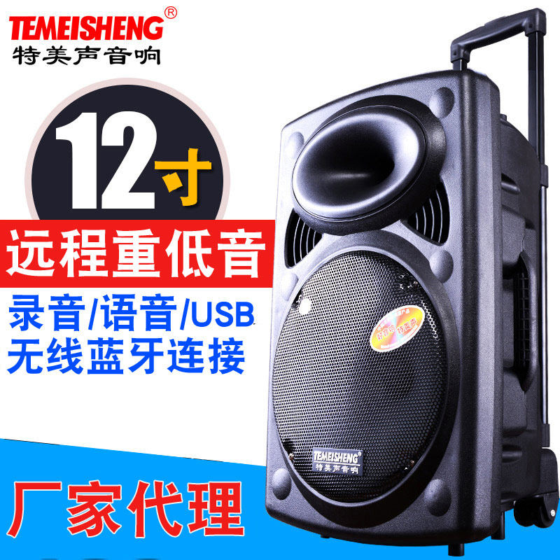 Temeacoustic Acoustics 12 Inch Square Dancing High Power Outdoor Bluetooth Low Sound Cannon Charging Mobile Lalever Speaker